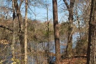 56 Acres on the Neuse River (Hill Farm)