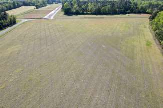 60 Acres Sand Ridge Rd. Beulaville