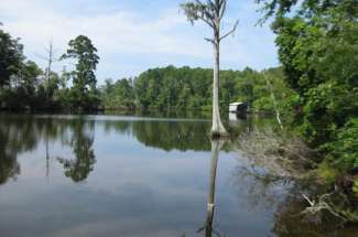 4.4 Acres Blounts Creek Beaufort County