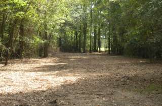 33 Acres Briley Rd. Pitt County NC