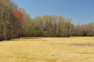 98 Acres on Neuse River, Kinston