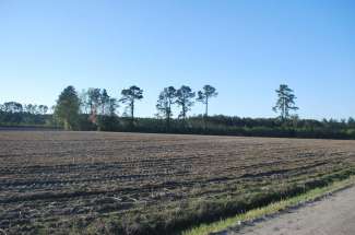 Heath Swamp Rd. Cove City 38 Acres