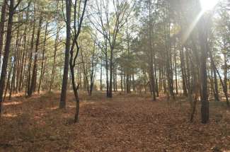 114 Shortcut Ln. 5.08 Acres Pink Hill NC