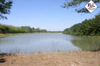 130 Acres Hwy 55 East, Neuse River