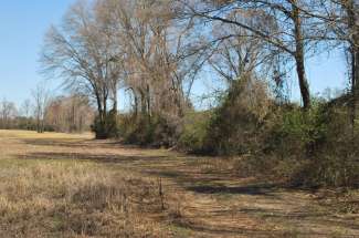 19 Acres Joe Nunn Road, Kinston