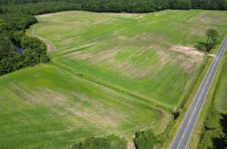 Craven County 121 Acres Powell Rd.
