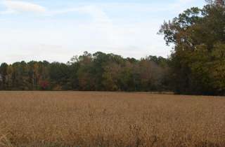 23 Acres NC 55, Dover