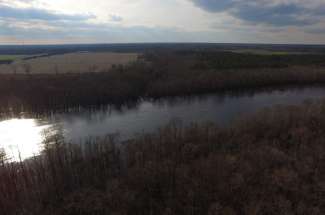 80 Acres on Cape Fear River