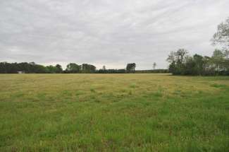 33 Acres 4573 NC Hwy. 222 Fountain NC
