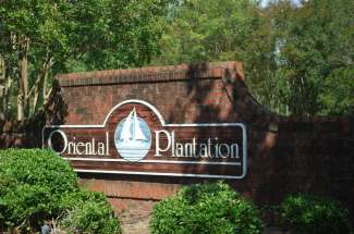 Oriental Plantation 116 Acres