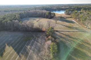 Sand Ridge Rd. 26 Acres Pink Hill NC