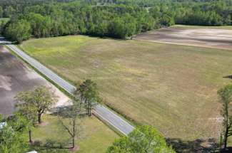 Sarecta Rd. 12 Acres Beulaville NC