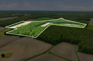 Sarecta Road Duplin County 50.8 Acres