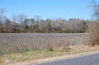 28 Acres Raeford, NC