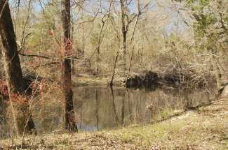 48 Acres on the Trent River