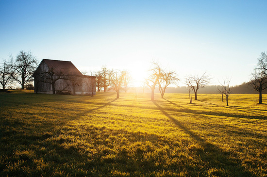 north carolina farm